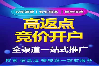 百度推广操作指南：案例解析